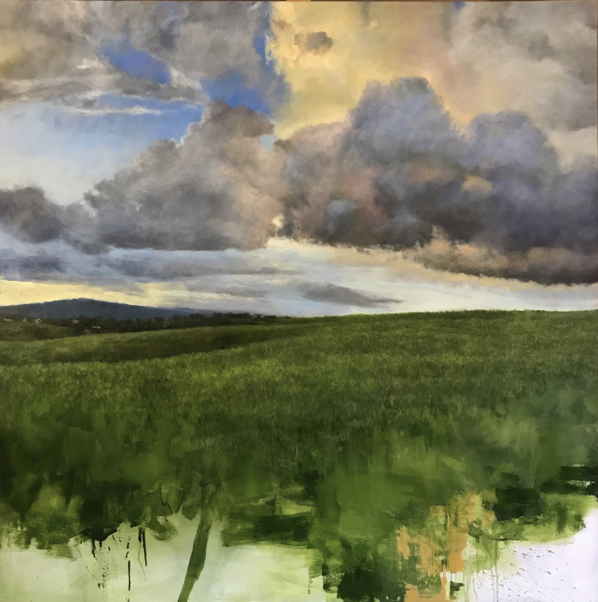 Suspension (green field) no.4 by Peter Roux 