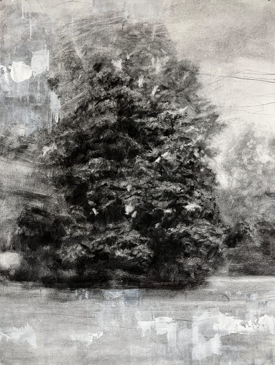 a tree for the absent by Peter Roux 