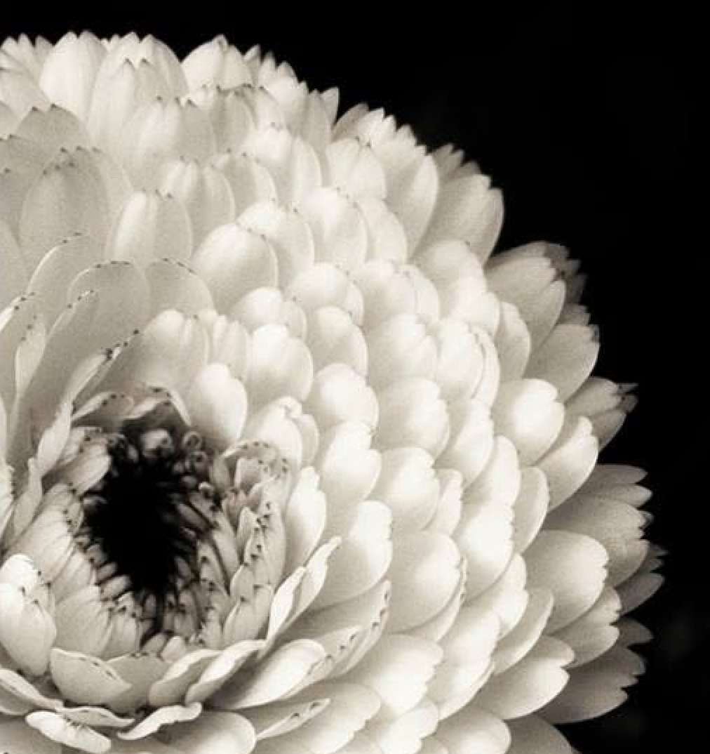 Unfolding, In Time by Lynnette Hunter, Image 1.