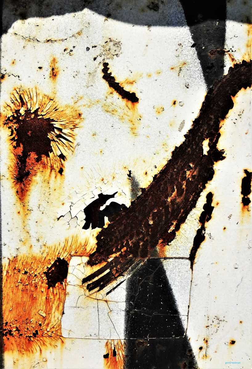 T-Shirt by GERRY FELDMAN 