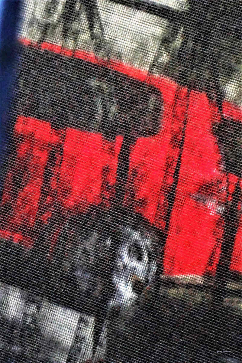 I Want this Car! by GERRY FELDMAN 