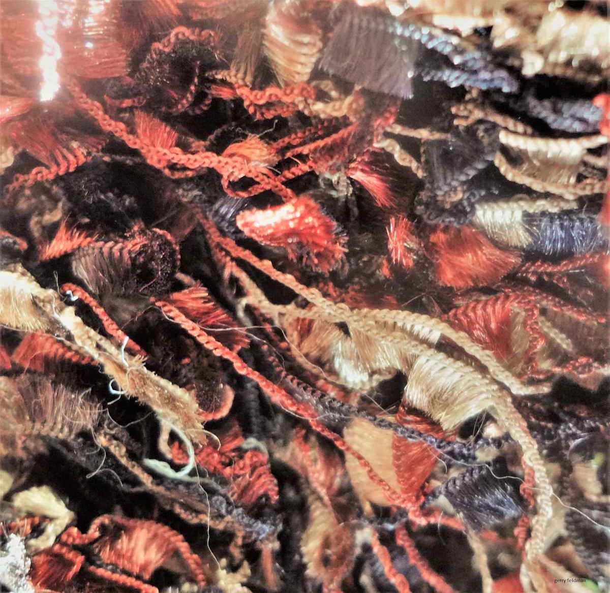 Hooks and Eyes by GERRY FELDMAN, Image 1.