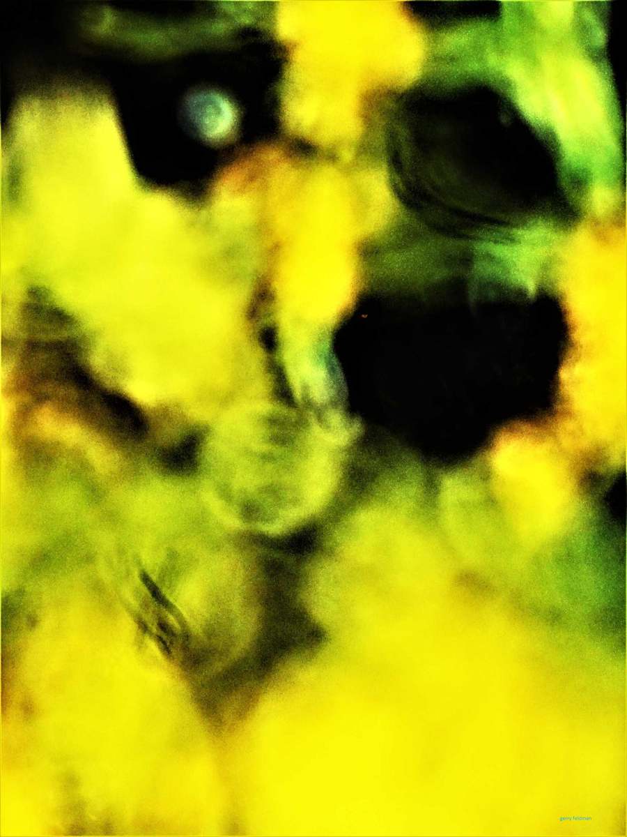 Before the Dawn by GERRY FELDMAN, Image 1.