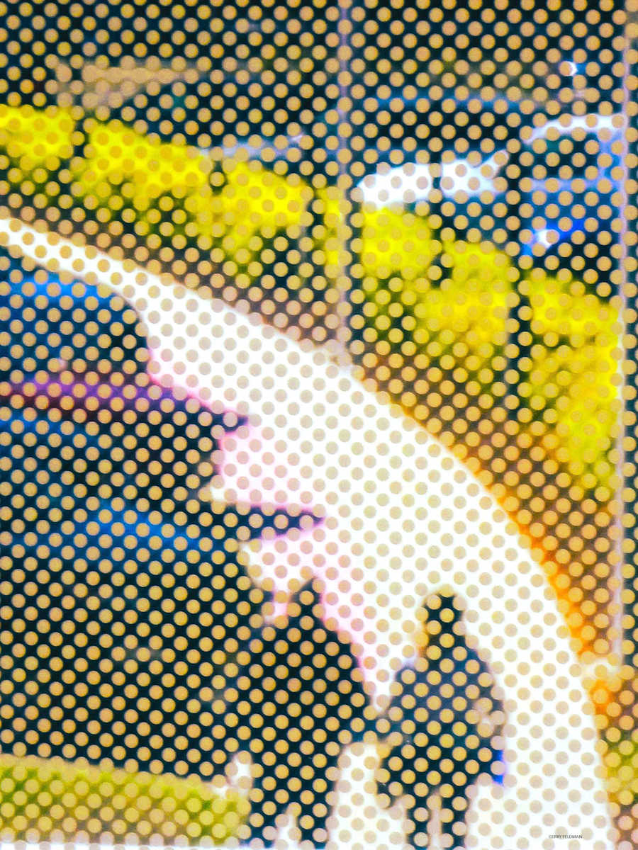 A Path for Two by GERRY FELDMAN, Image 1.