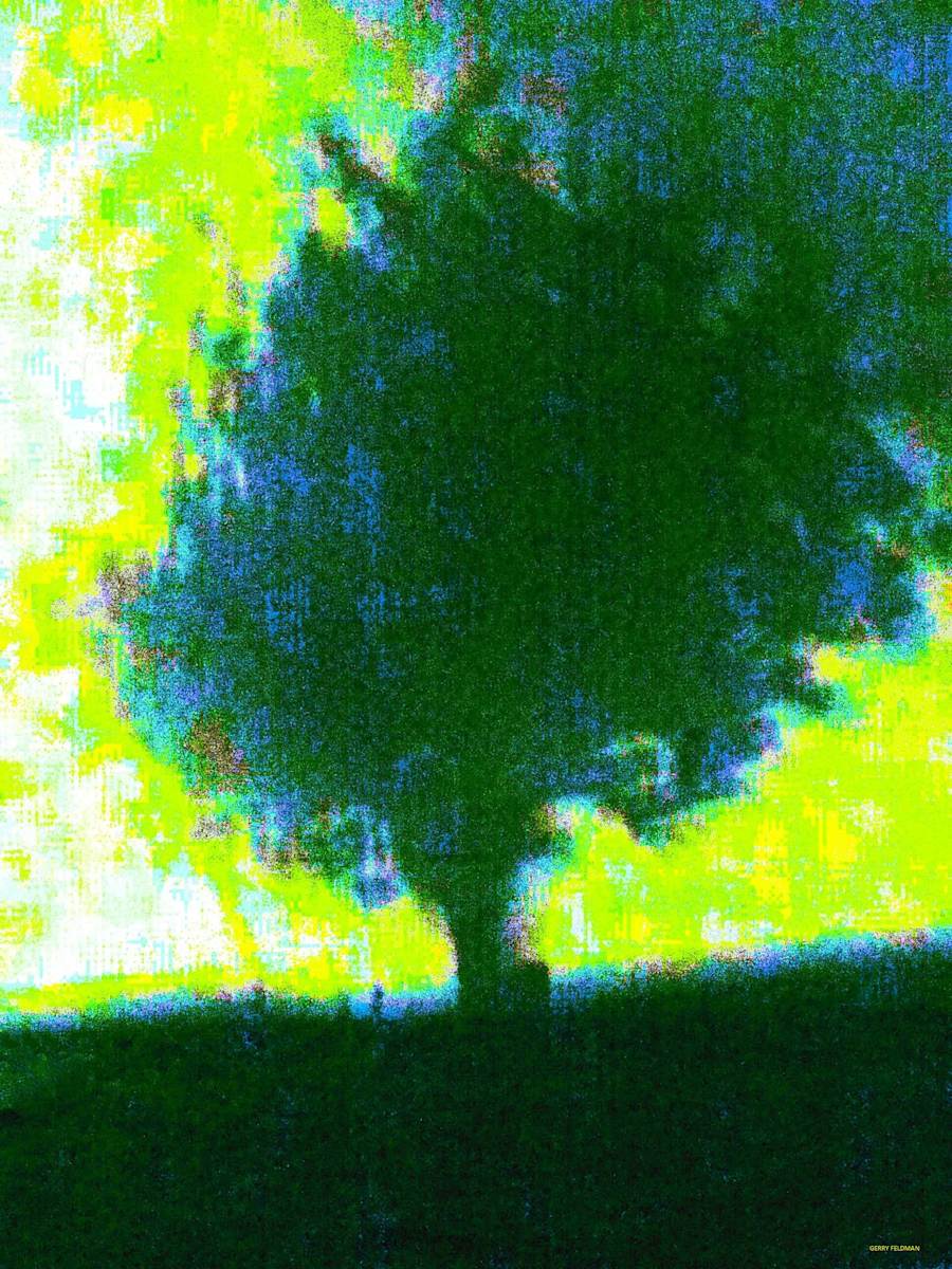 Ascent by GERRY FELDMAN, Image 1.