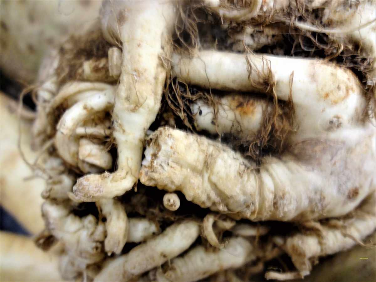 Beautiful Sometimes by GERRY FELDMAN, Image 1.