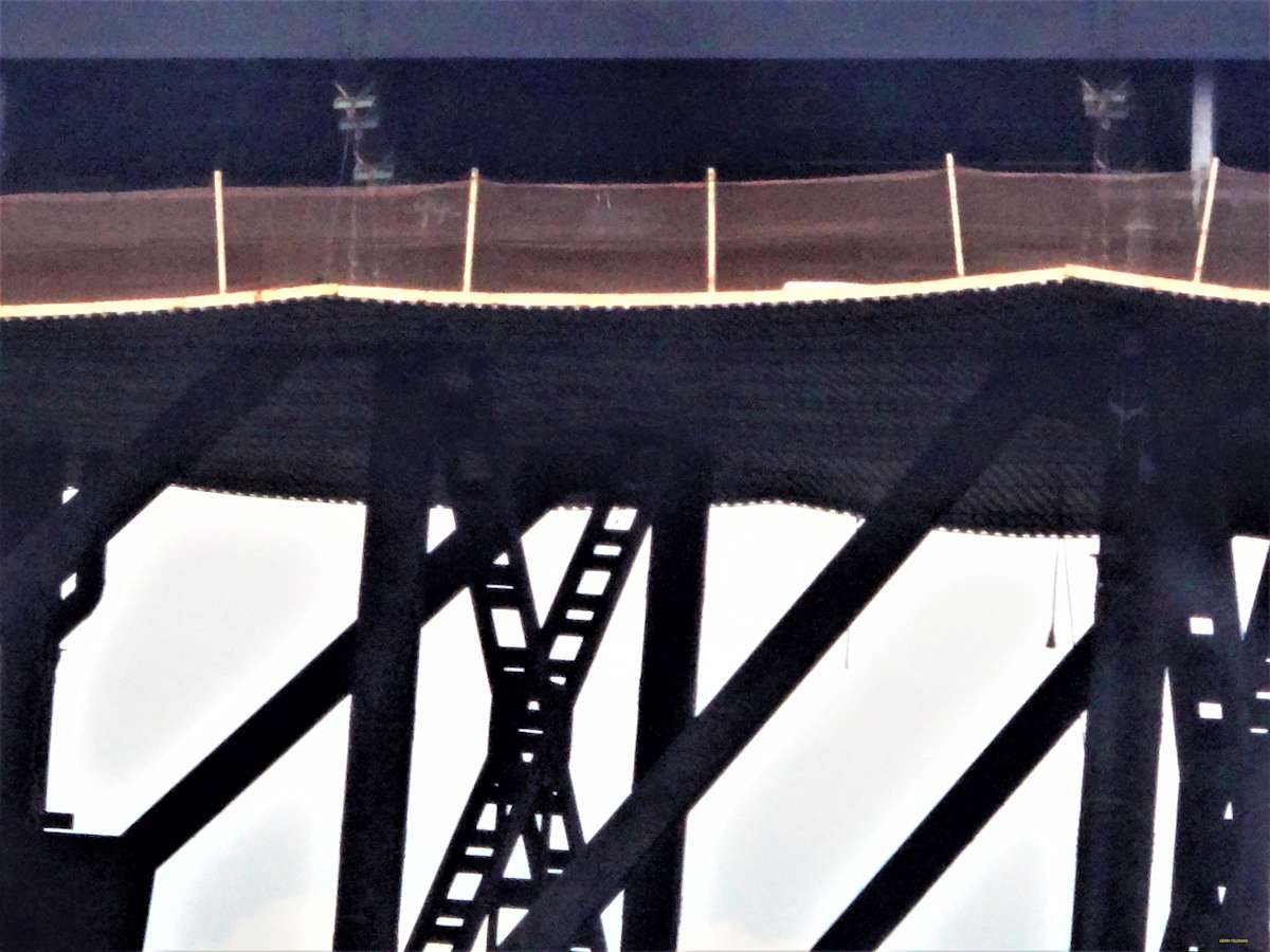 Chutes and Ladders by GERRY FELDMAN, Image 1.