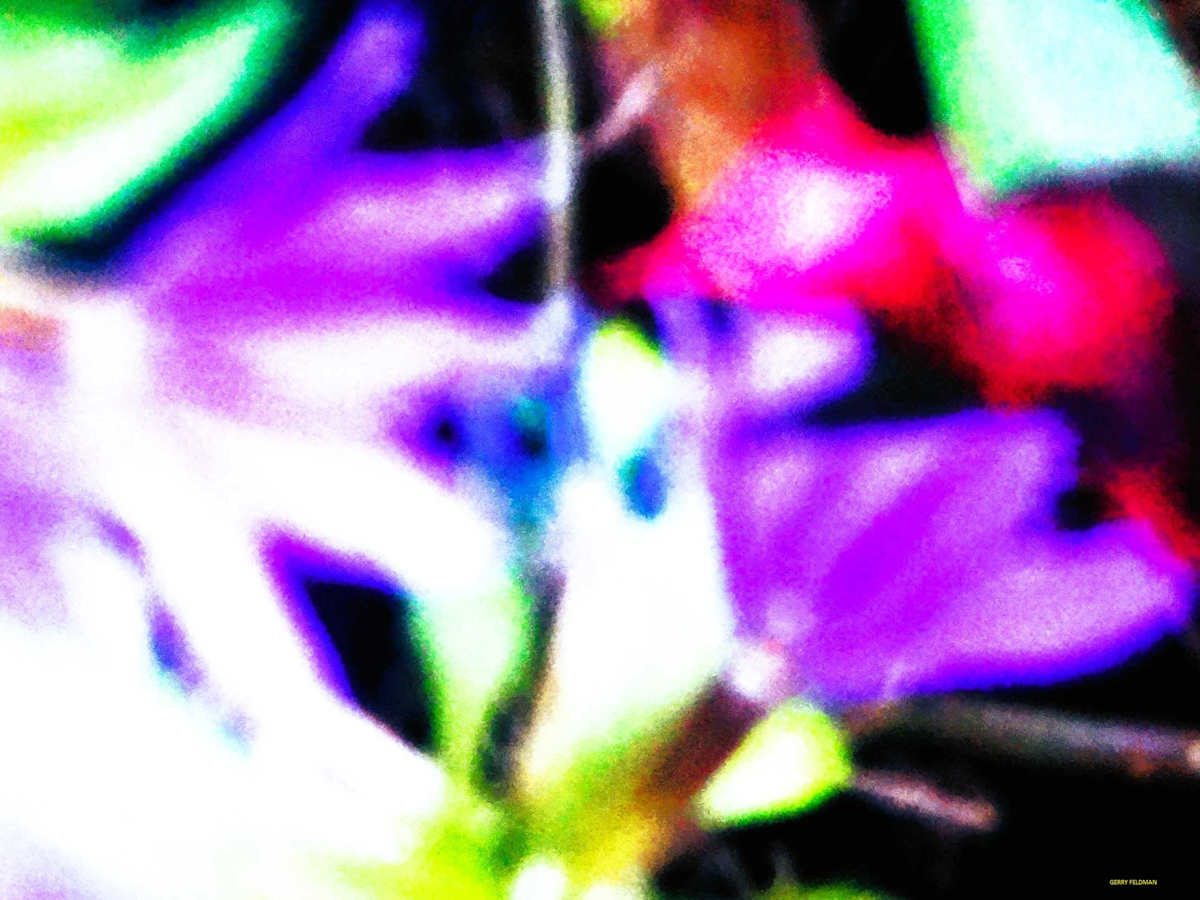 Come Fly With Me by GERRY FELDMAN 