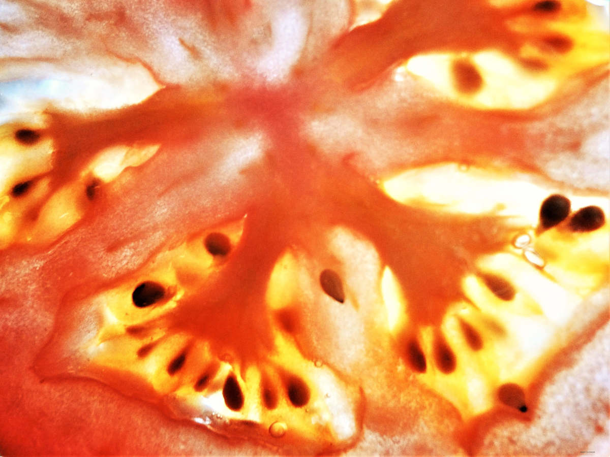 Creepy by GERRY FELDMAN, Image 1.