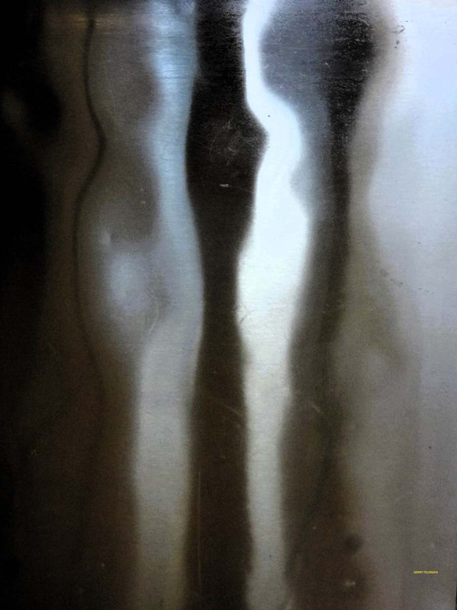 Devil in the Details by GERRY FELDMAN, Image 1.