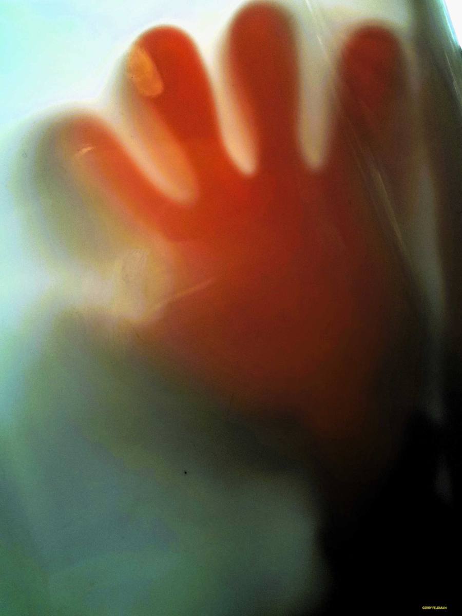 Five Fingers by GERRY FELDMAN, Image 1.