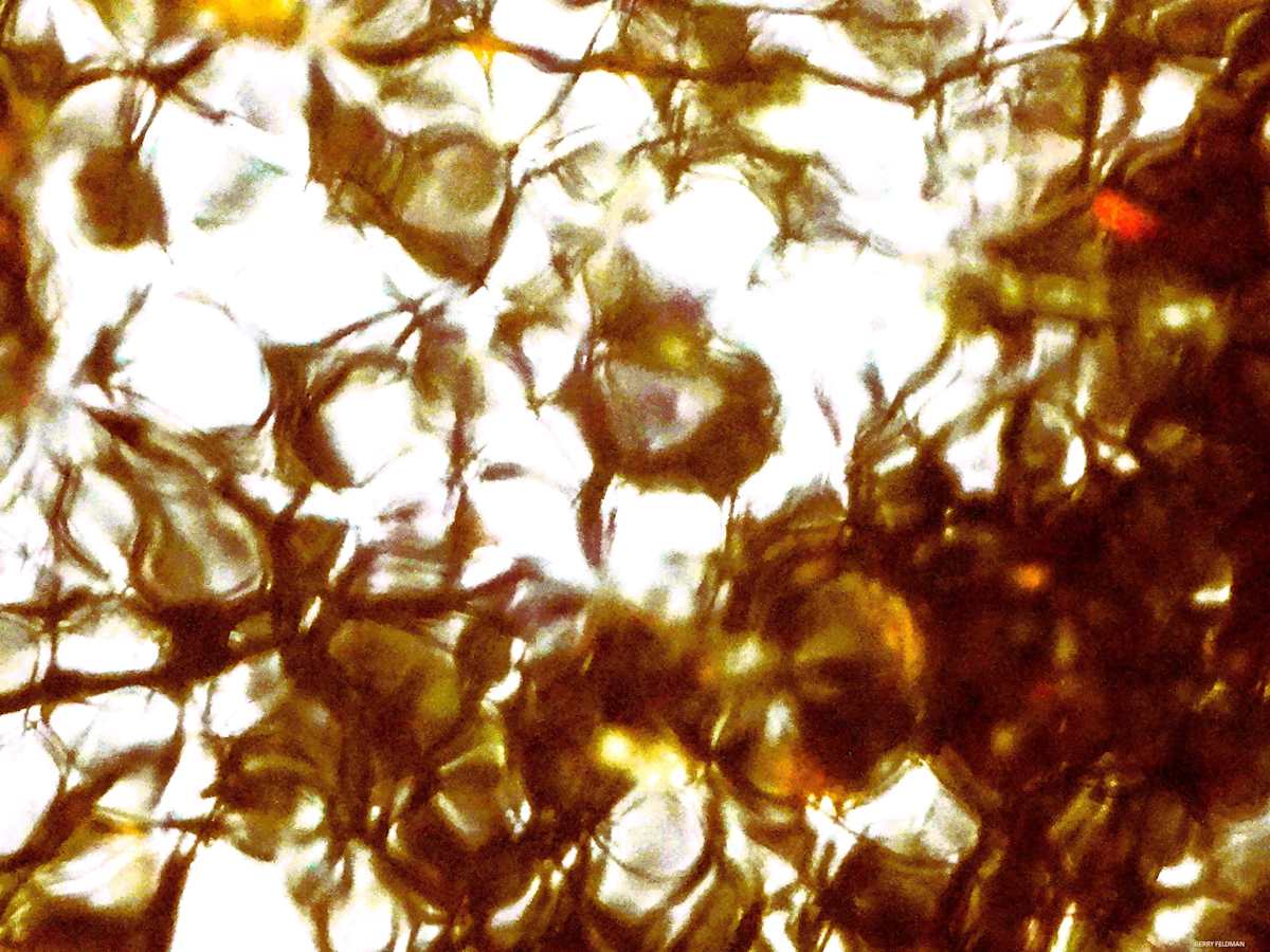 Floating Away by GERRY FELDMAN, Image 1.