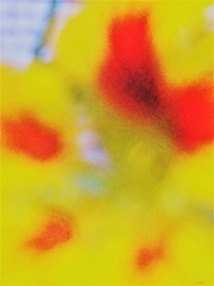 Flower Abstract by GERRY FELDMAN, Image 1.