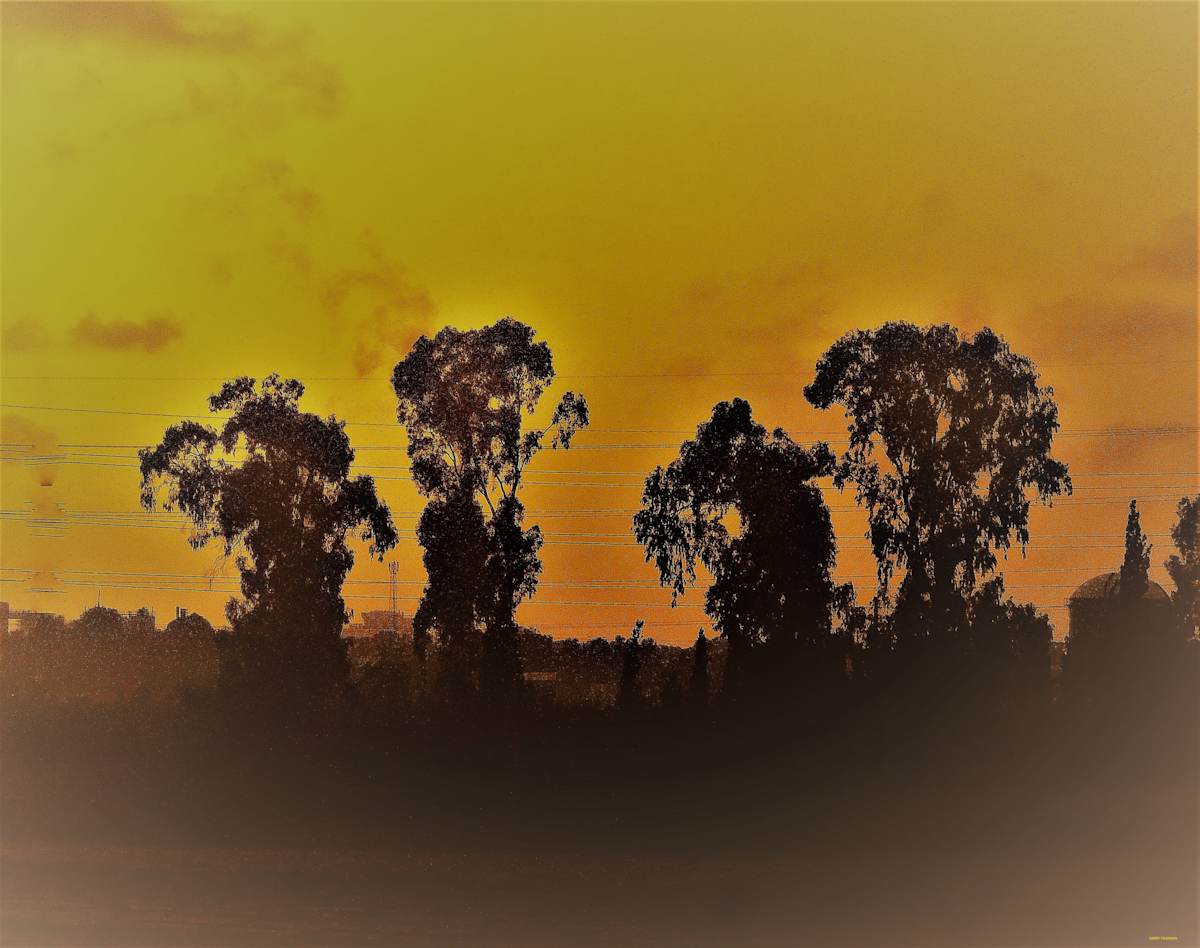 Friends by GERRY FELDMAN, Image 1.