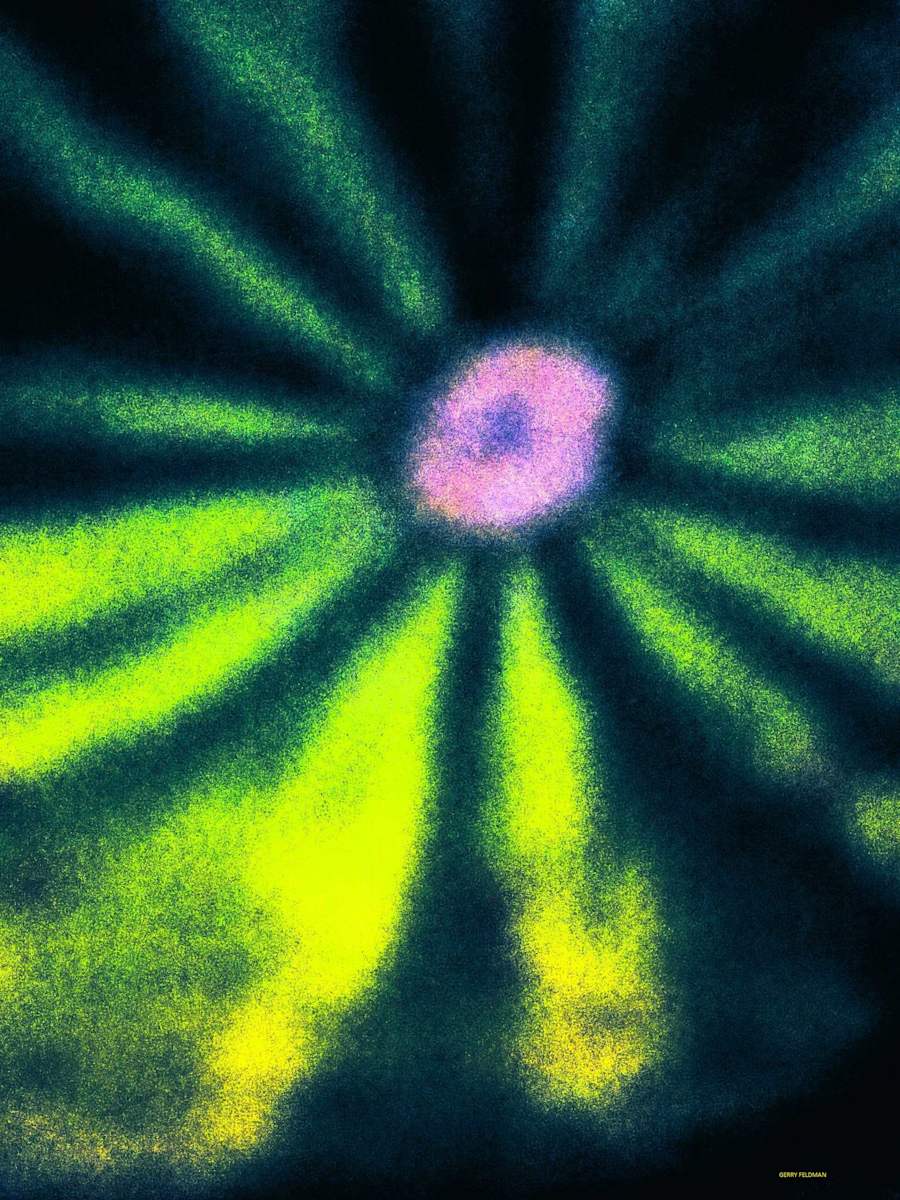 Geometry by GERRY FELDMAN, Image 1.