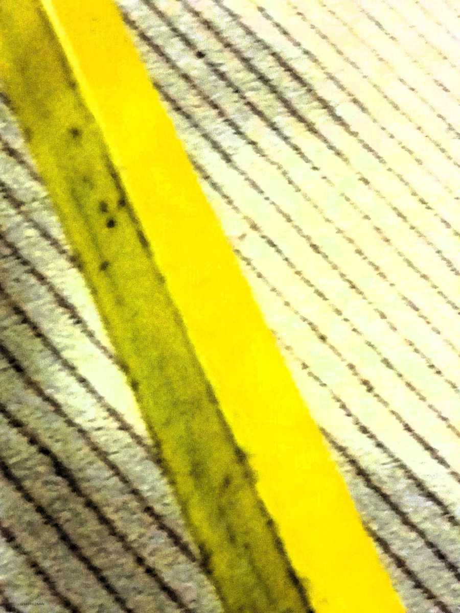 Gold Bar by GERRY FELDMAN, Image 1.