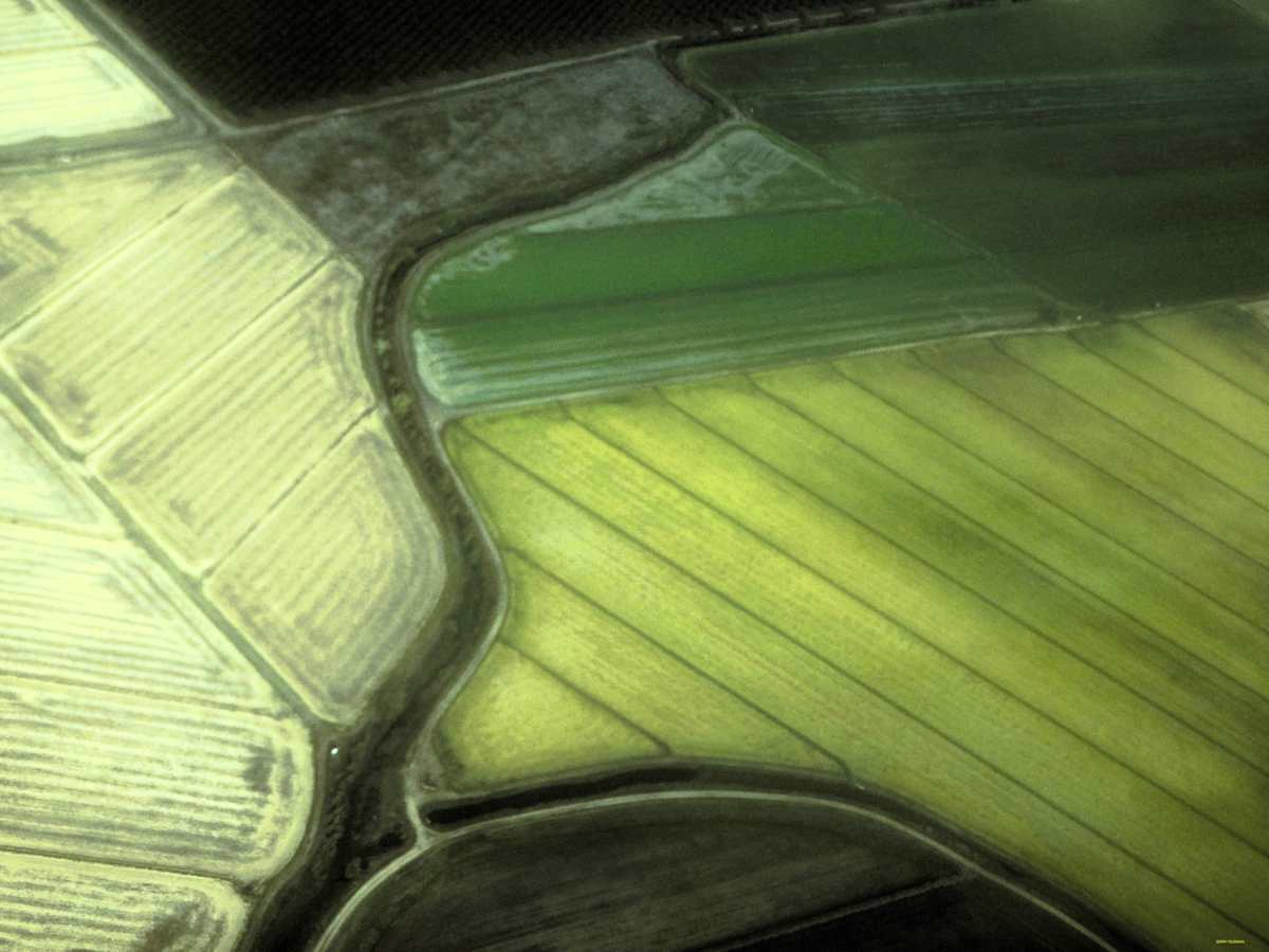 Green Fields by GERRY FELDMAN, Image 1.