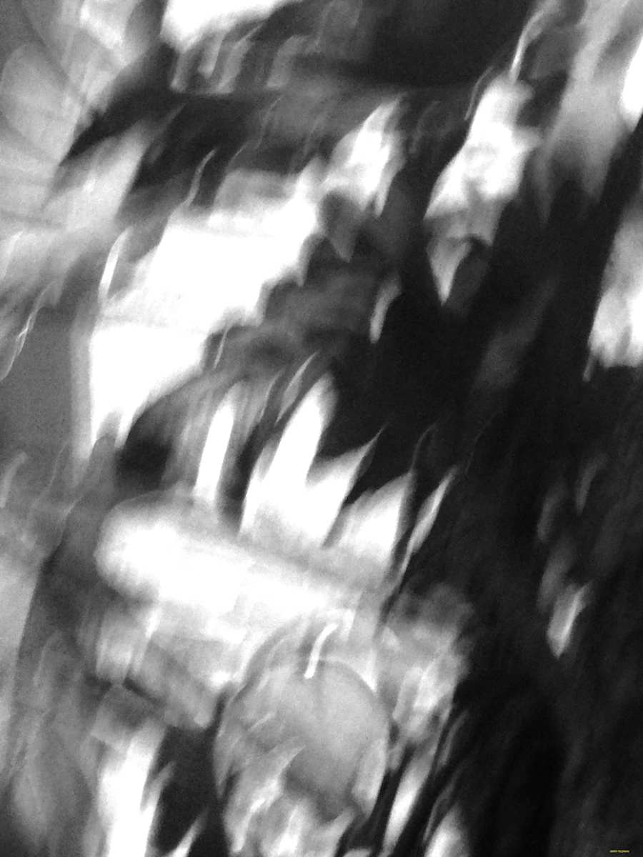 Havoc by GERRY FELDMAN, Image 1.