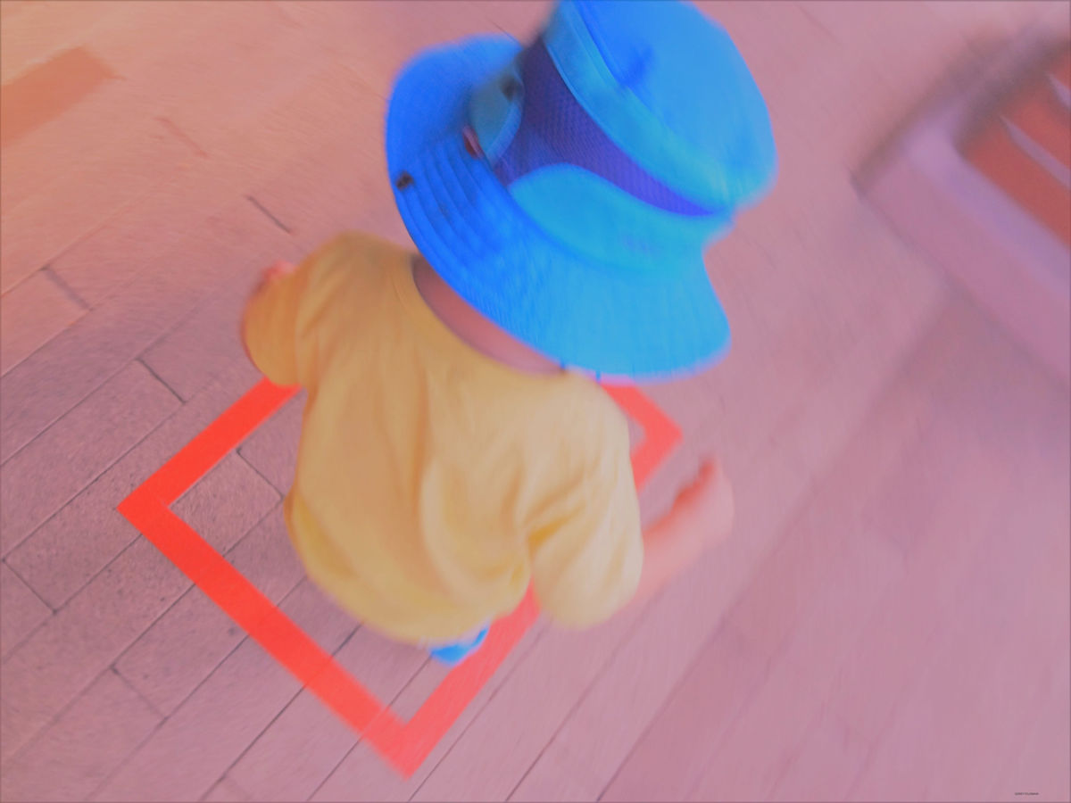 Highlight of My Day by GERRY FELDMAN, Image 1.