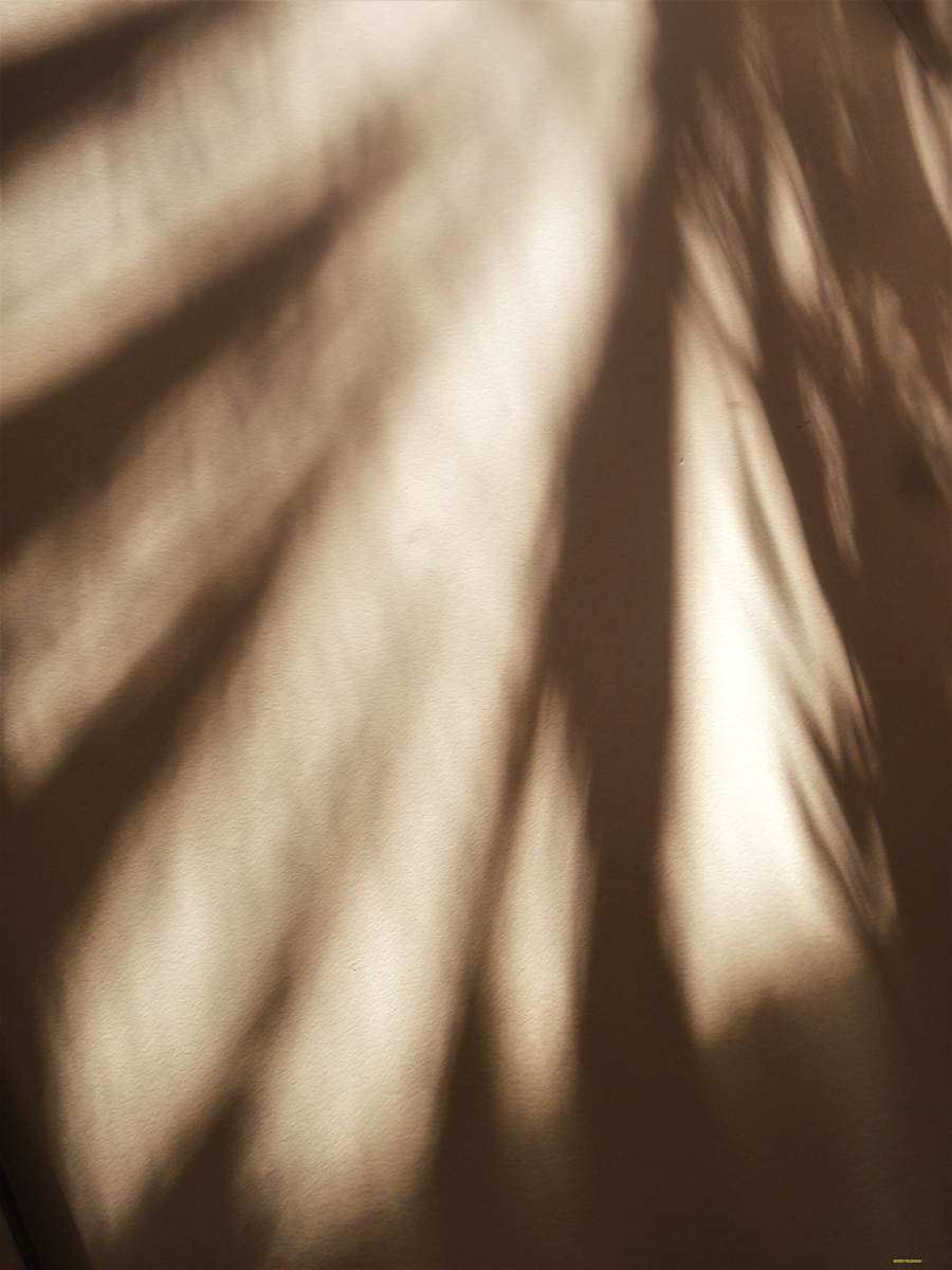 Impassible by GERRY FELDMAN, Image 1.