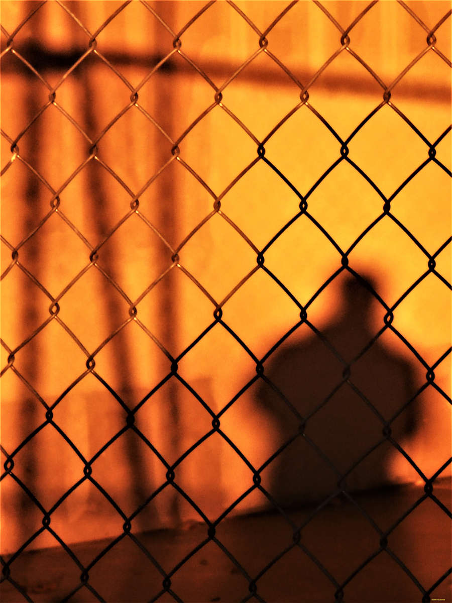 In Hiding by GERRY FELDMAN, Image 1.