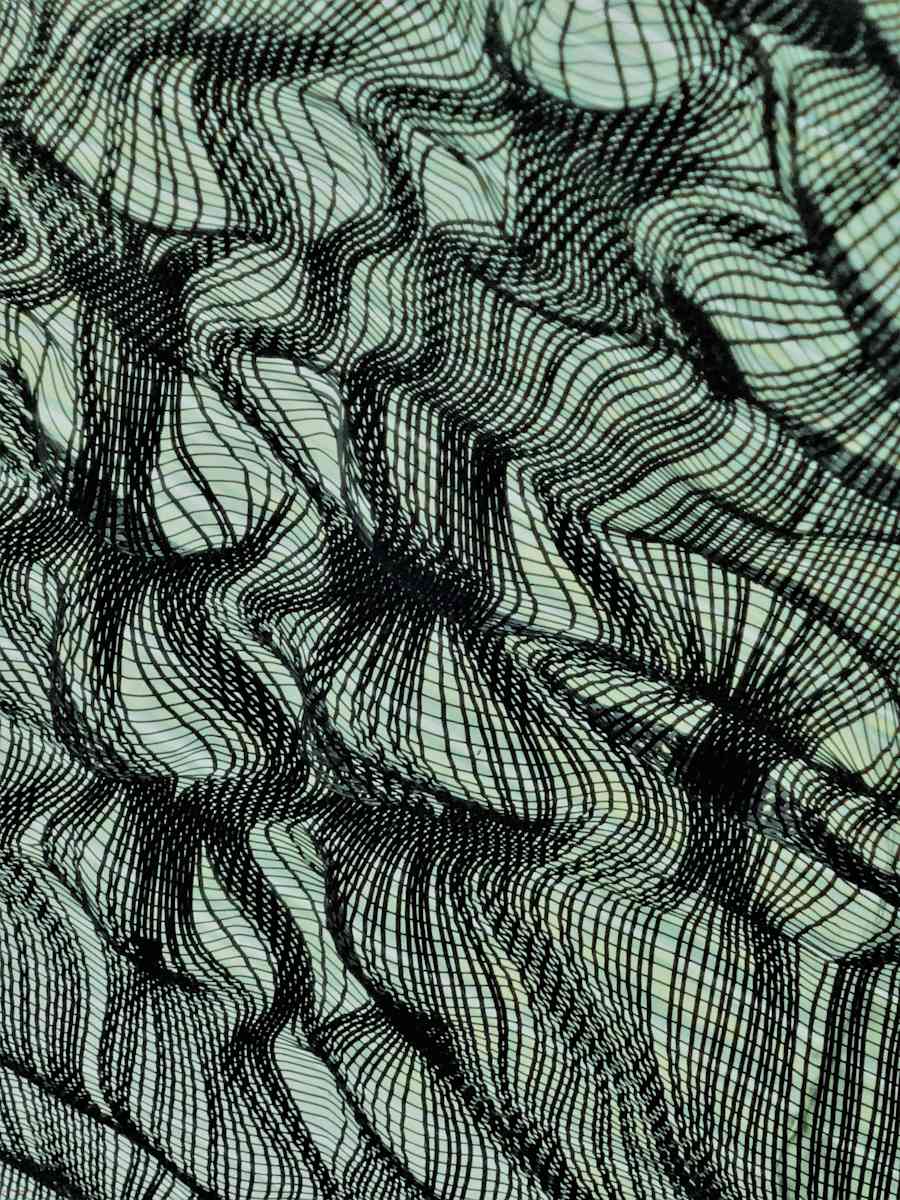 Incredible Web by GERRY FELDMAN, Image 1.