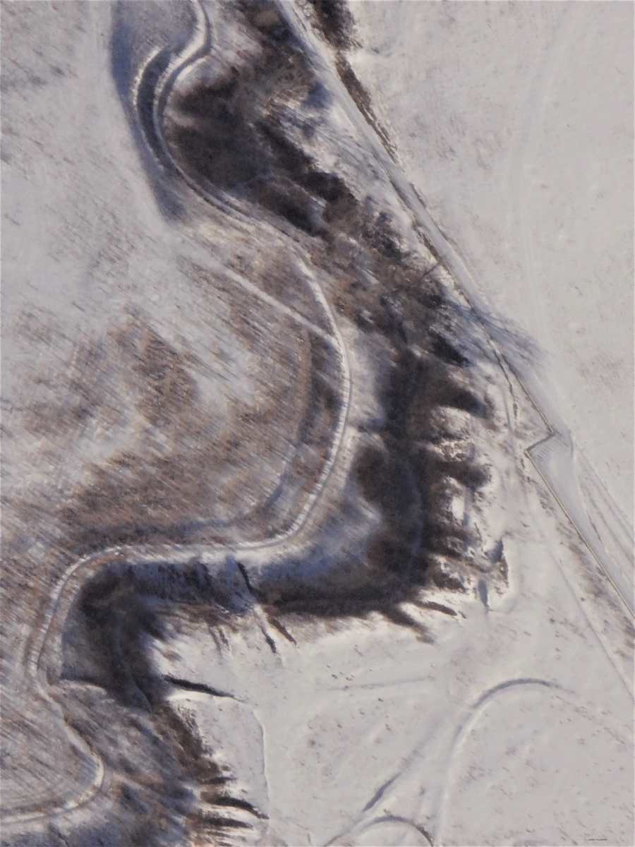 It's Alive by GERRY FELDMAN, Image 1.