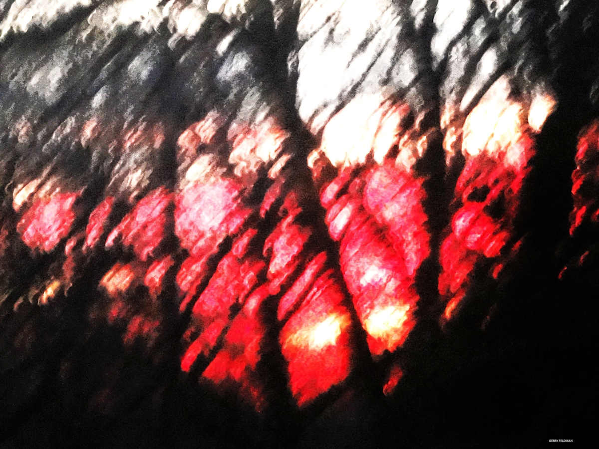 Kiss Me by GERRY FELDMAN, Image 1.