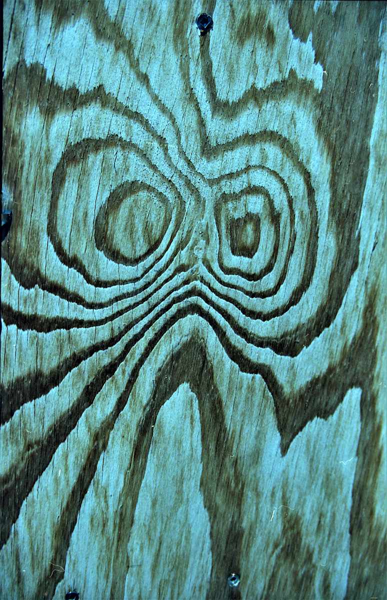 Knothole by GERRY FELDMAN, Image 1.