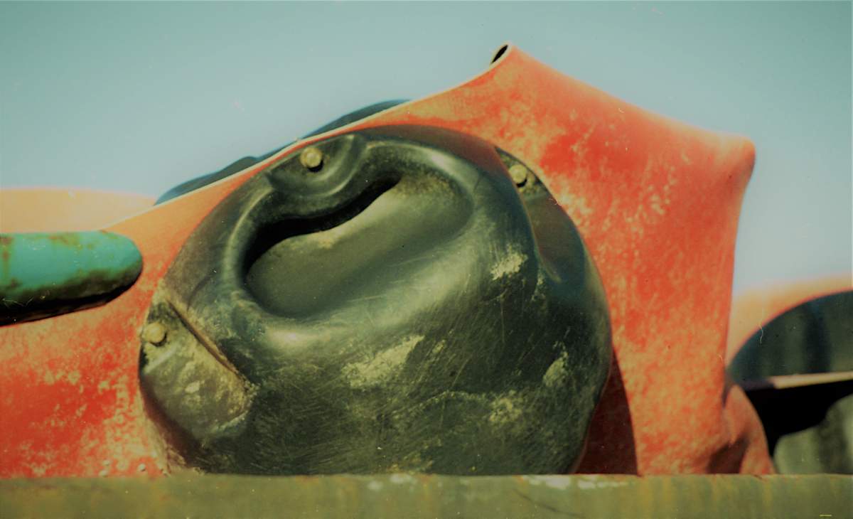 Last of the Just by GERRY FELDMAN, Image 1.