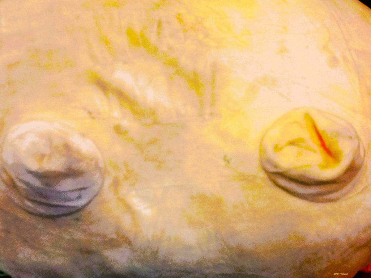 Love Thy Neighbor by GERRY FELDMAN 