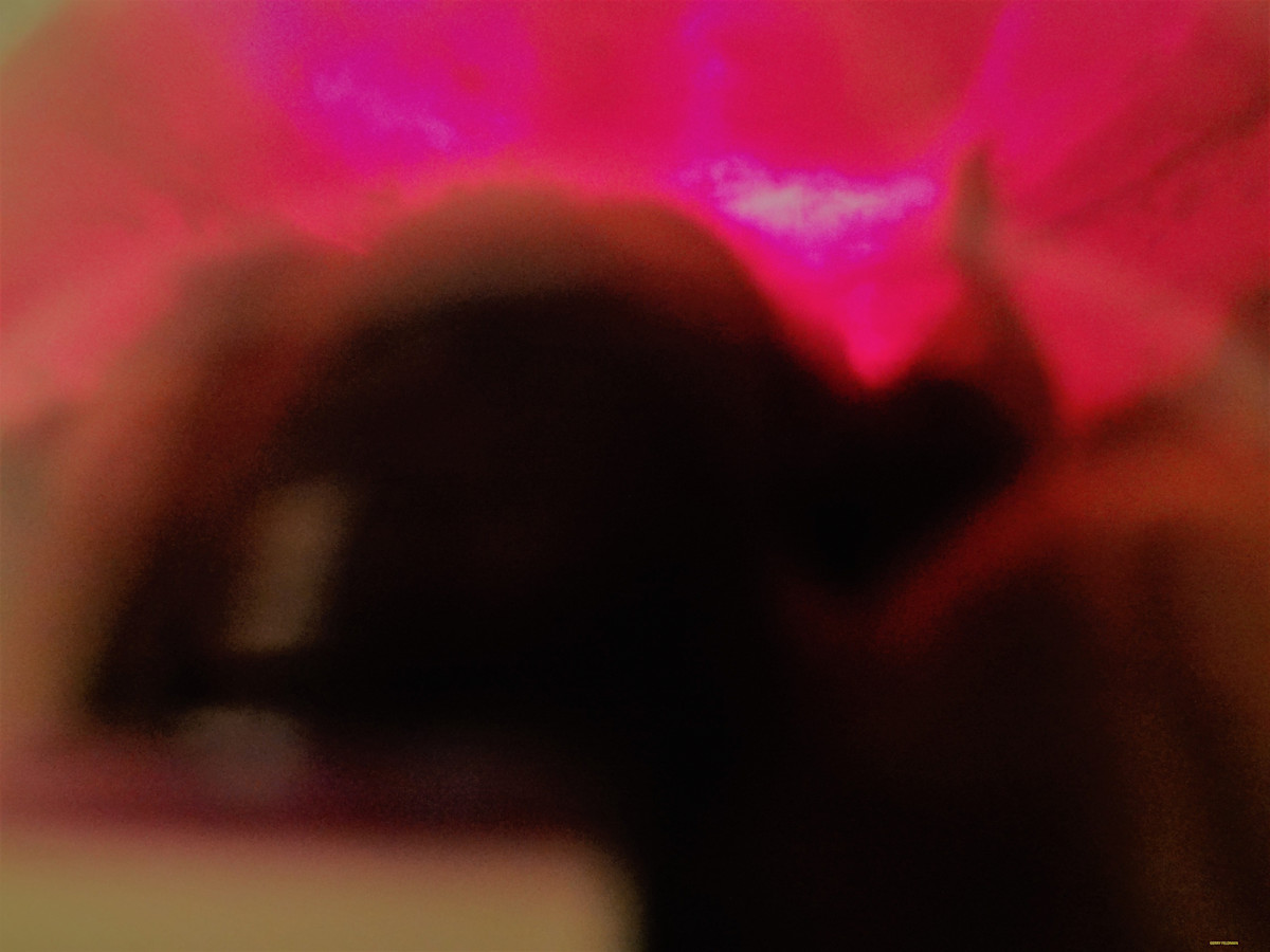 Mirror Mirror on the Wall by GERRY FELDMAN, Image 1.