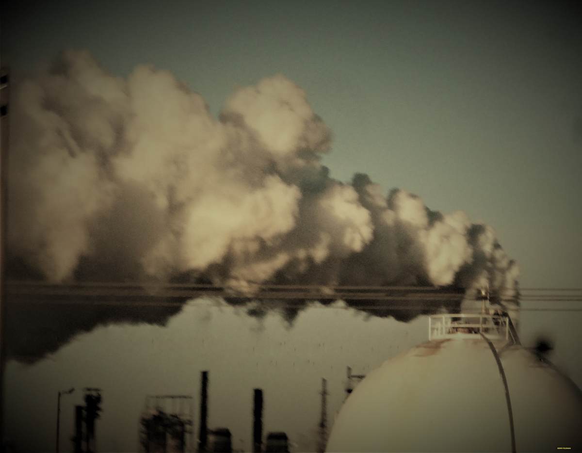 Never! by GERRY FELDMAN, Image 1.