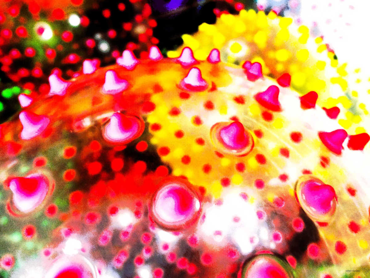 Oh My God by GERRY FELDMAN, Image 1.