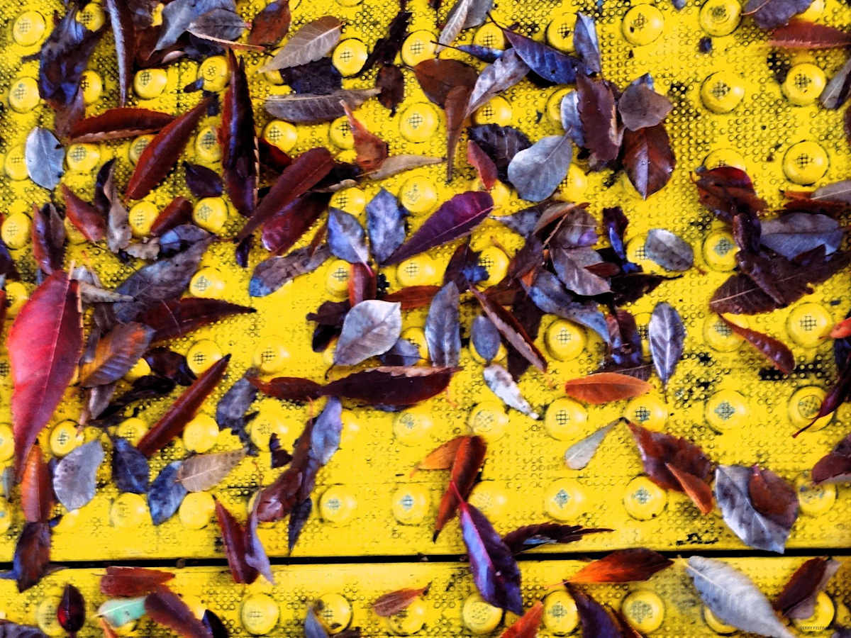 On the Grate by GERRY FELDMAN, Image 1.