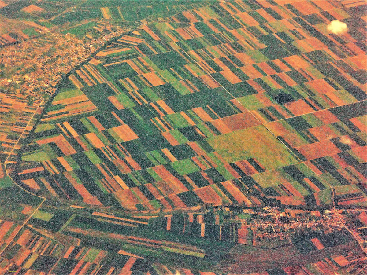 Patchwork Landscape by GERRY FELDMAN 