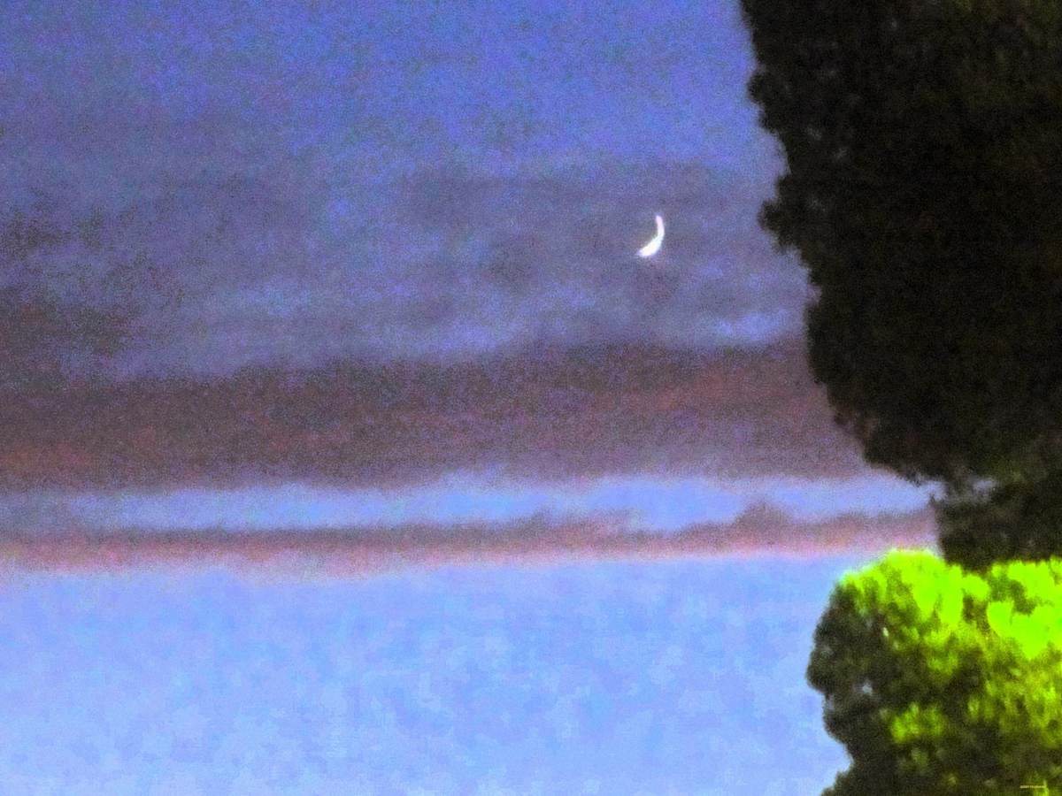 Peaceful Night by GERRY FELDMAN, Image 1.