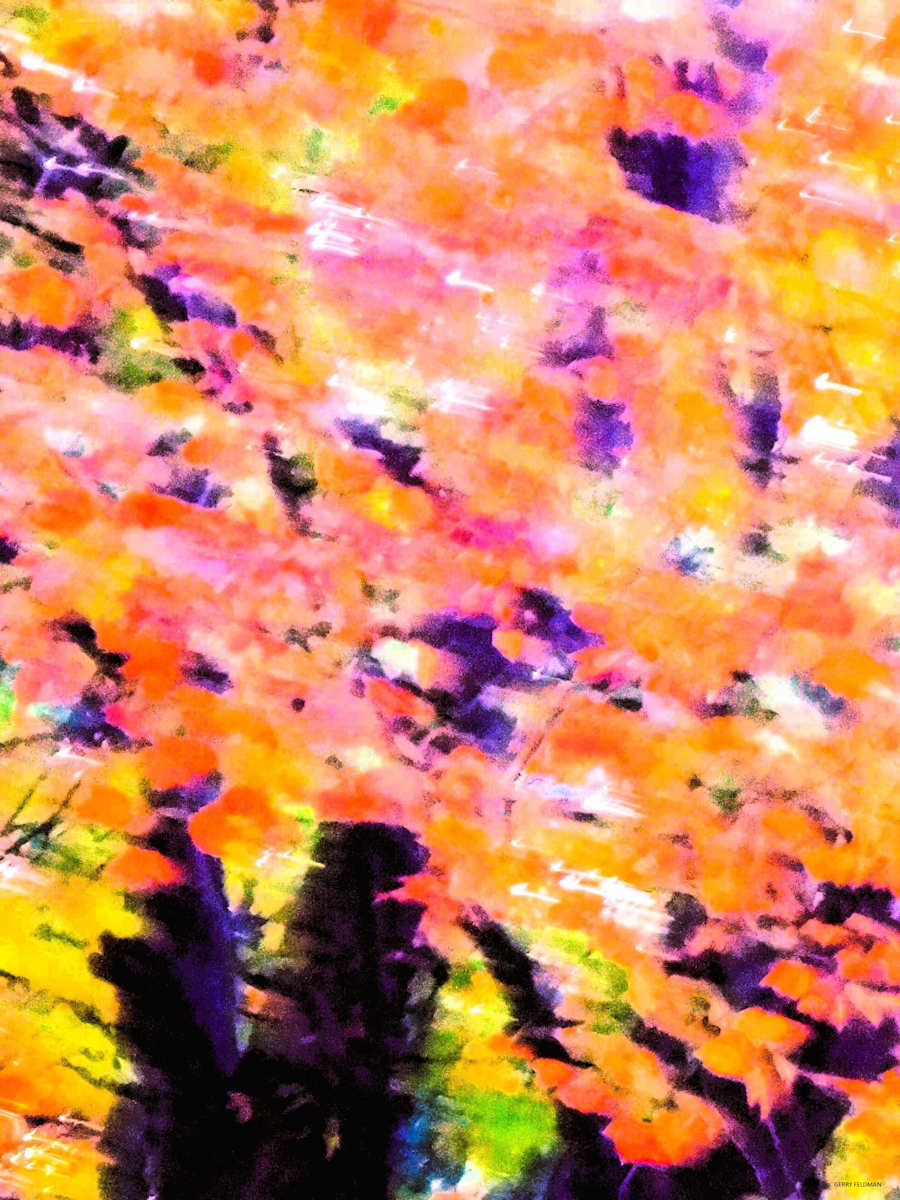 Peeking Through by GERRY FELDMAN, Image 1.