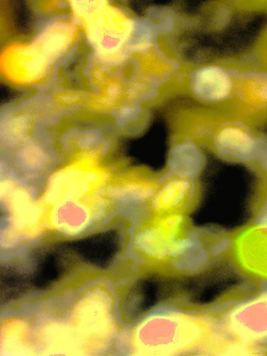 Pink Bounce by GERRY FELDMAN, Image 1.