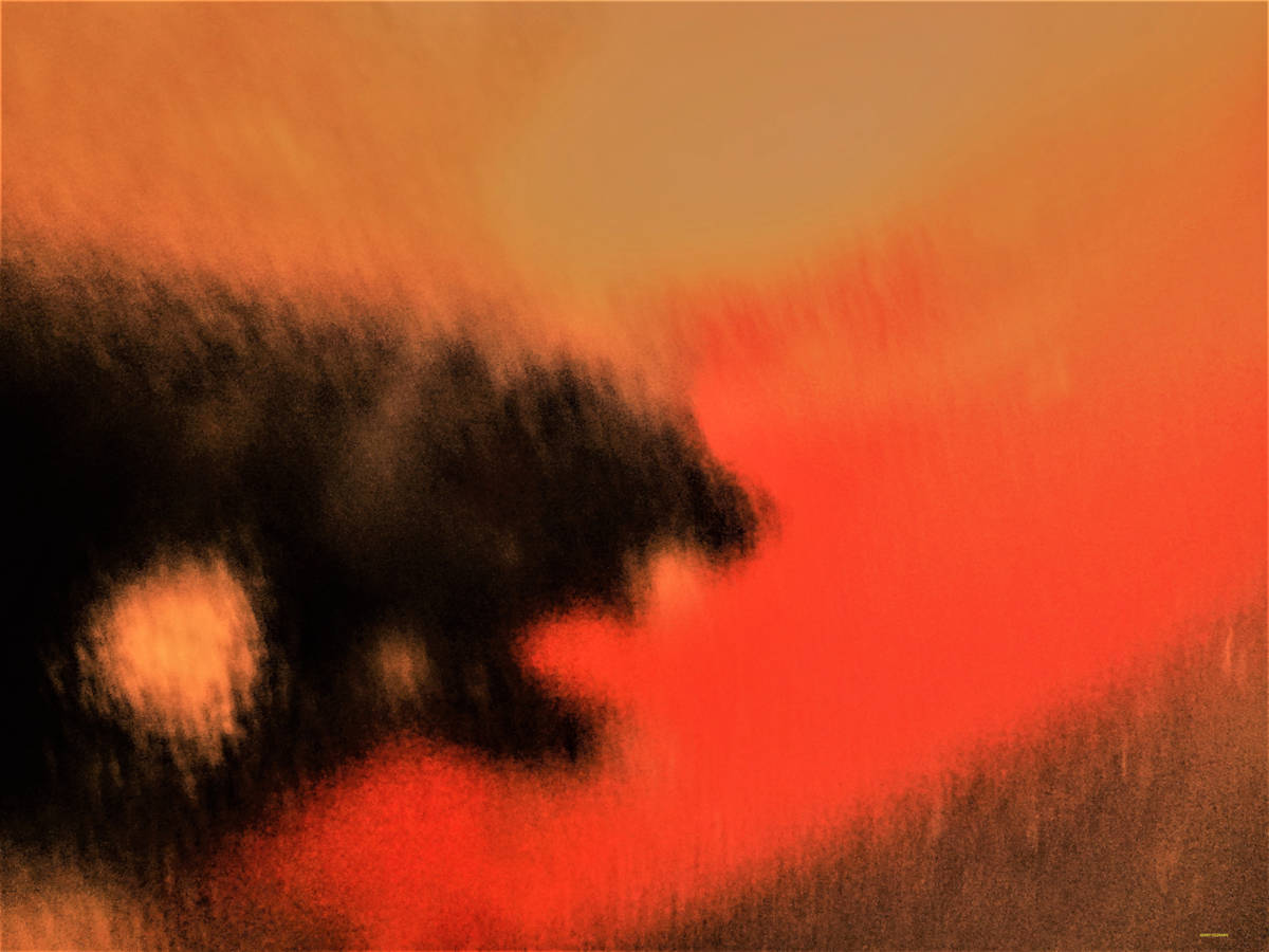 ROAR! by GERRY FELDMAN, Image 1.