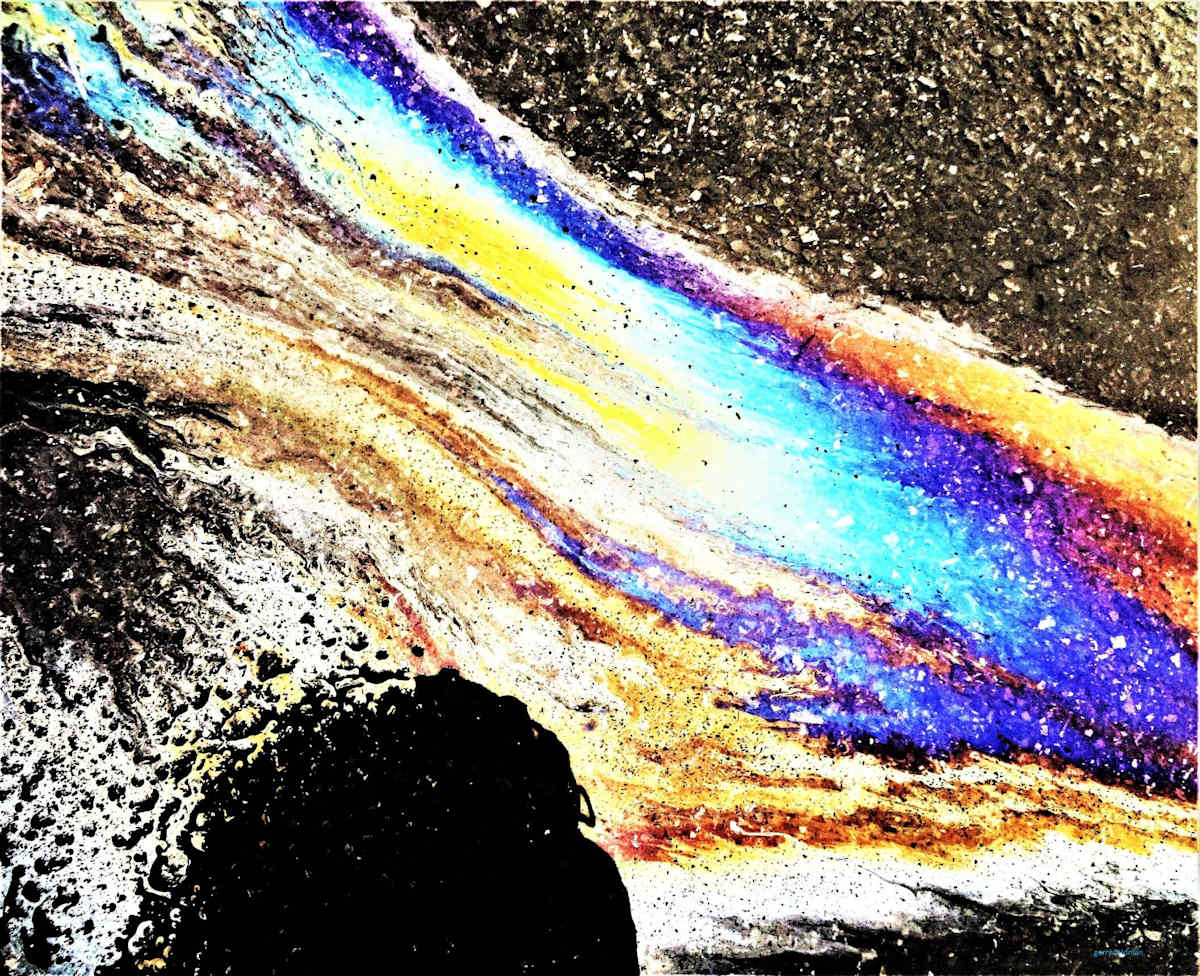 Rainbow and Friend by GERRY FELDMAN, Image 1.