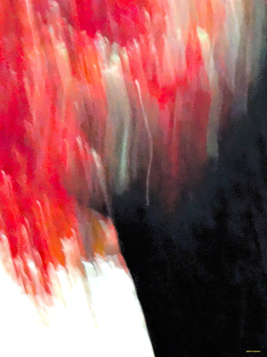 Red Shed by GERRY FELDMAN, Image 1.