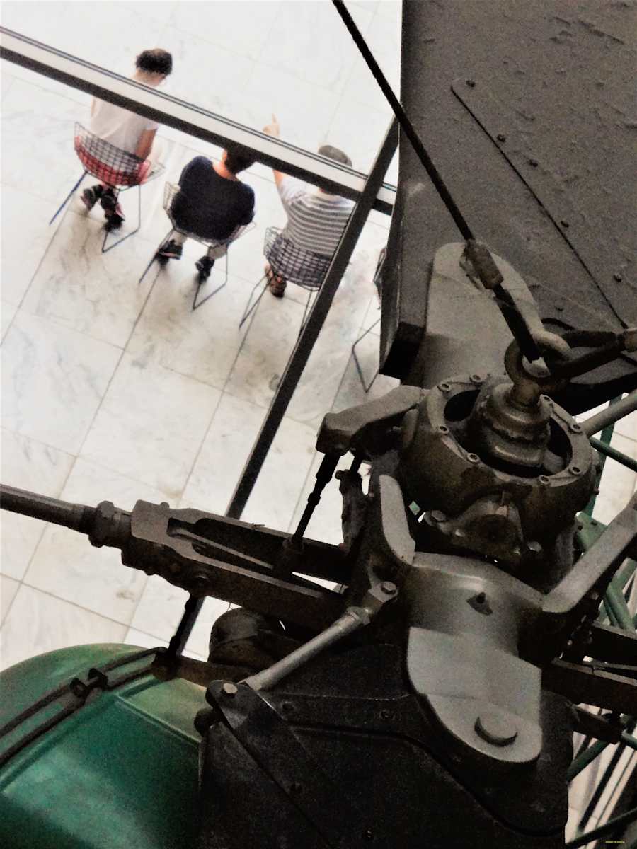 Sightings by GERRY FELDMAN, Image 1.