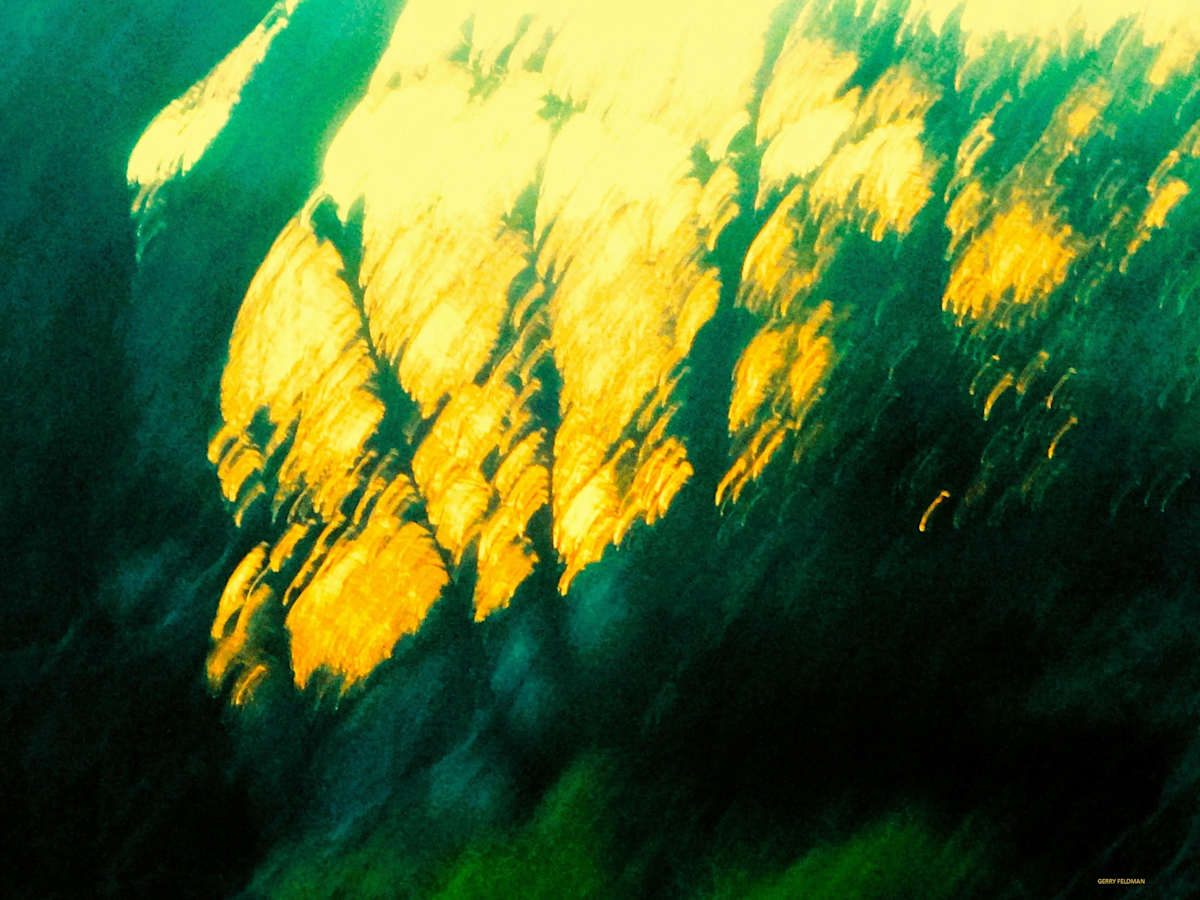 Sliding Along by GERRY FELDMAN, Image 1.