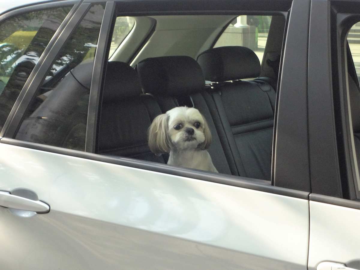 So Let Me Tell You by GERRY FELDMAN, Image 1.