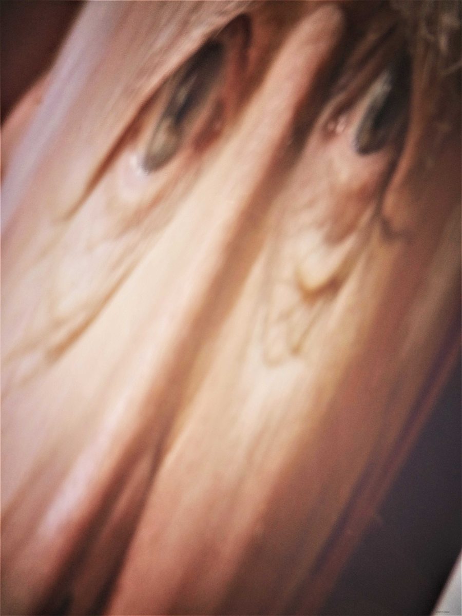 Sympathy by GERRY FELDMAN, Image 1.