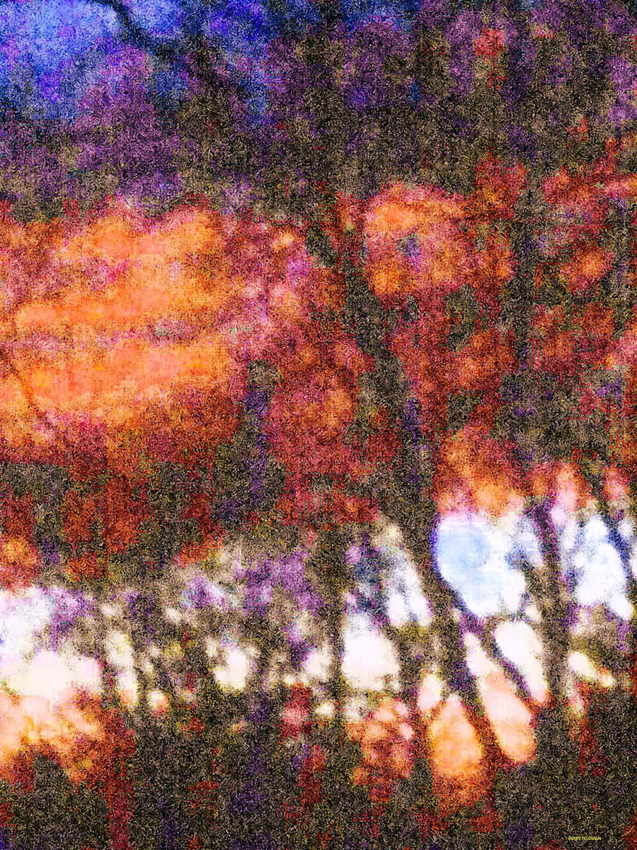 Tapestry by GERRY FELDMAN, Image 1.