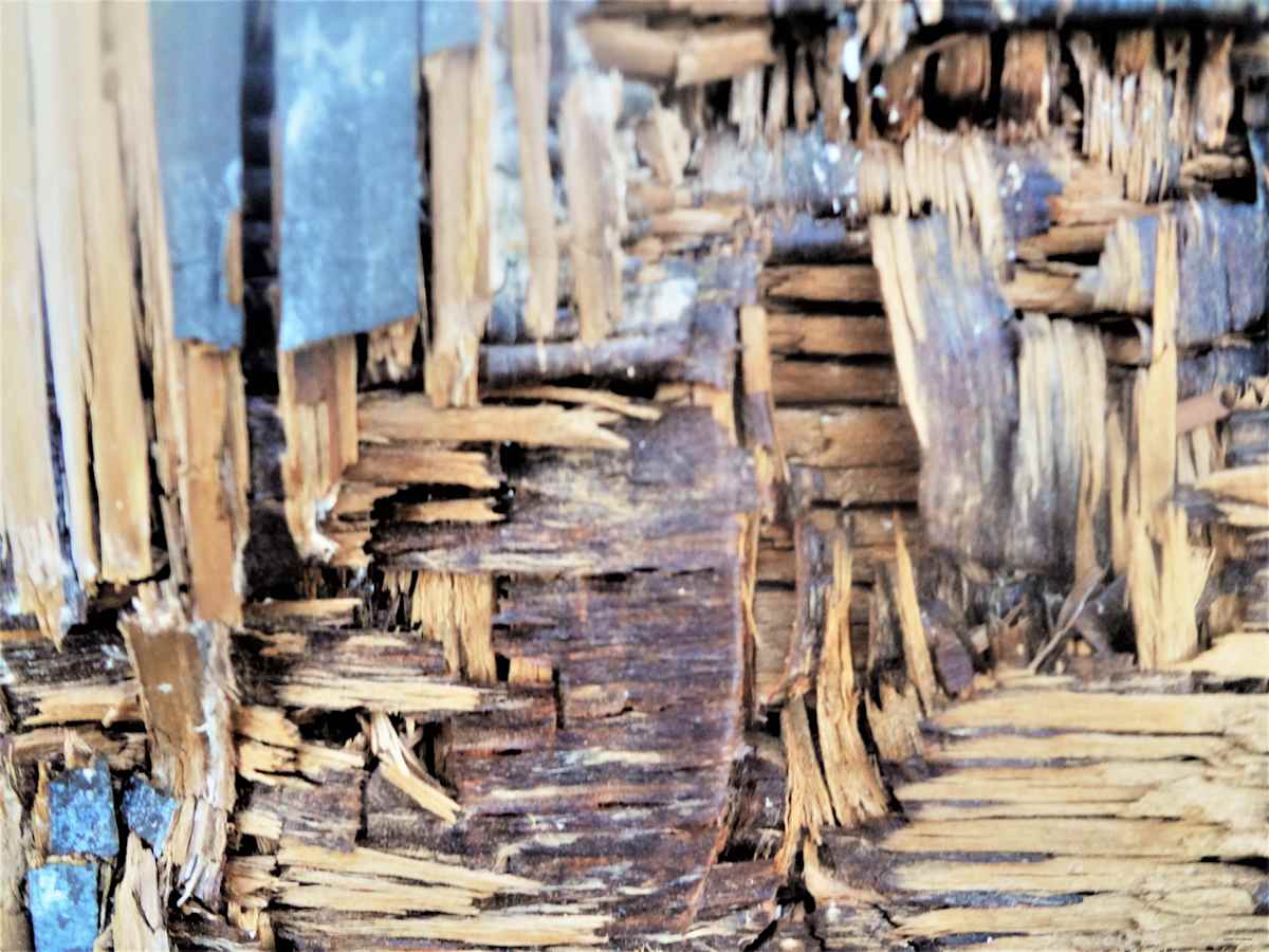 The Shack by GERRY FELDMAN 