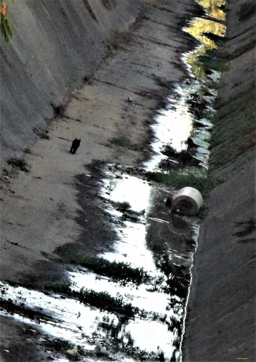 The Slough by GERRY FELDMAN, Image 1.