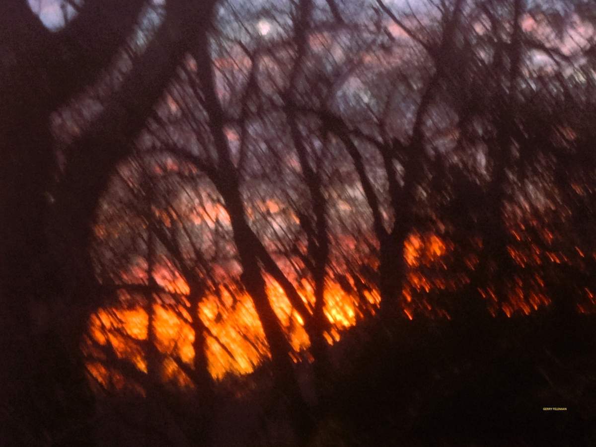 Through the Woods by GERRY FELDMAN, Image 1.